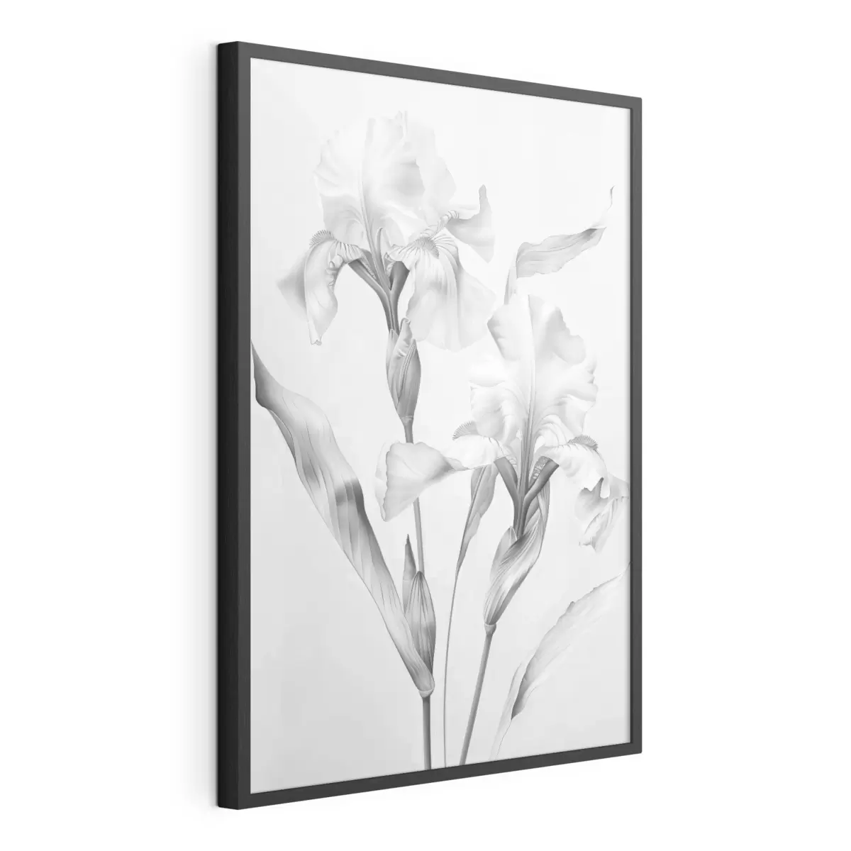 Poster Elegantes iris en tonos blancos y negros f42171