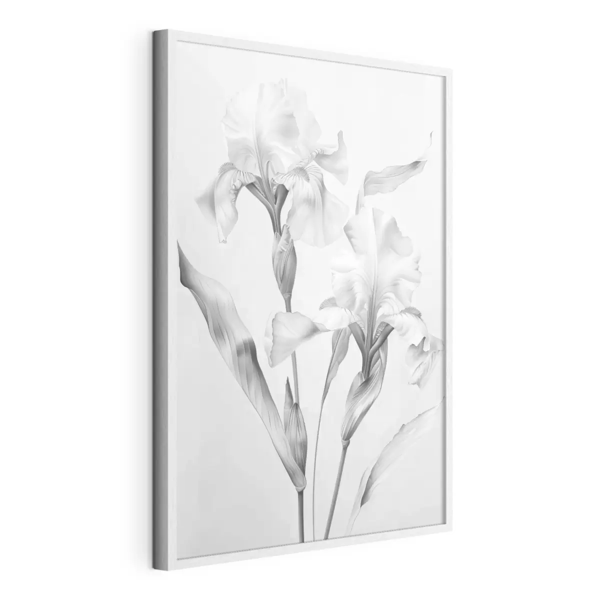 Poster Elegantes iris en tonos blancos y negros f42171