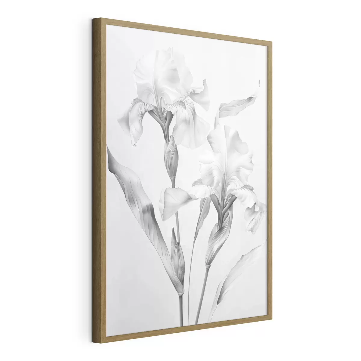 Poster Elegantes iris en tonos blancos y negros f42171