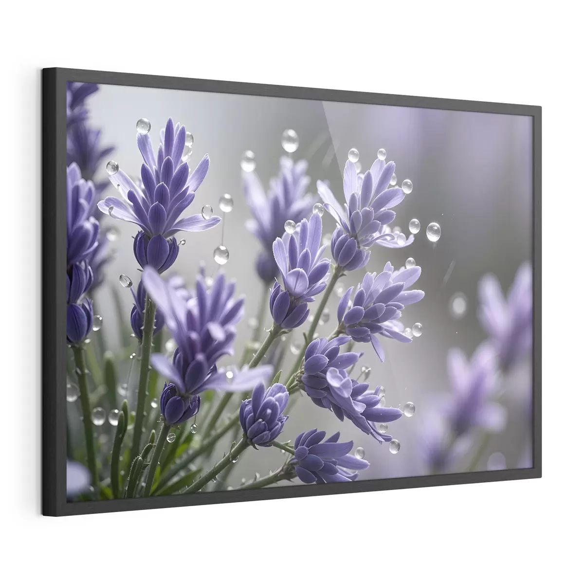 Poster Rocío de lavanda f42229