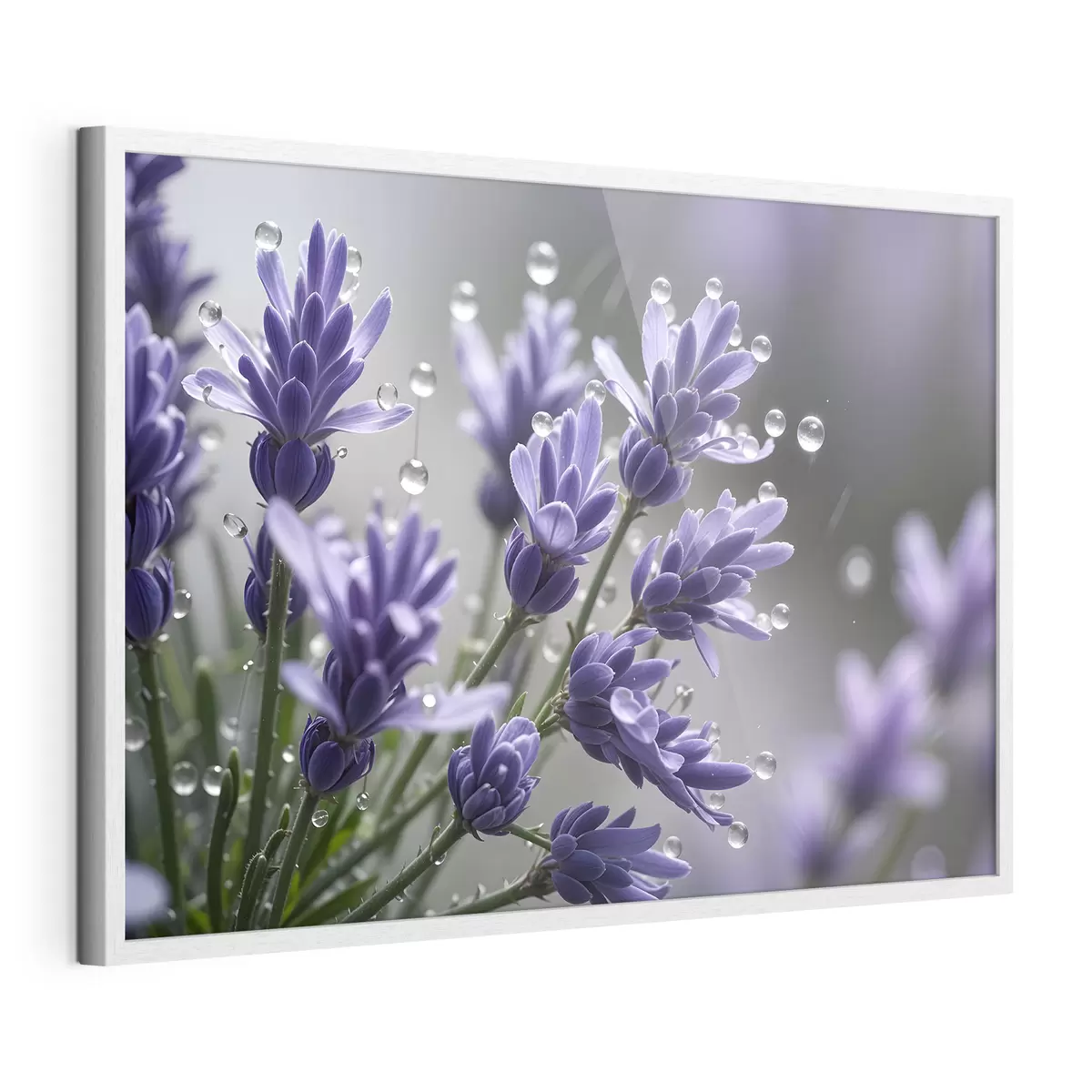 Poster Rocío de lavanda f42229