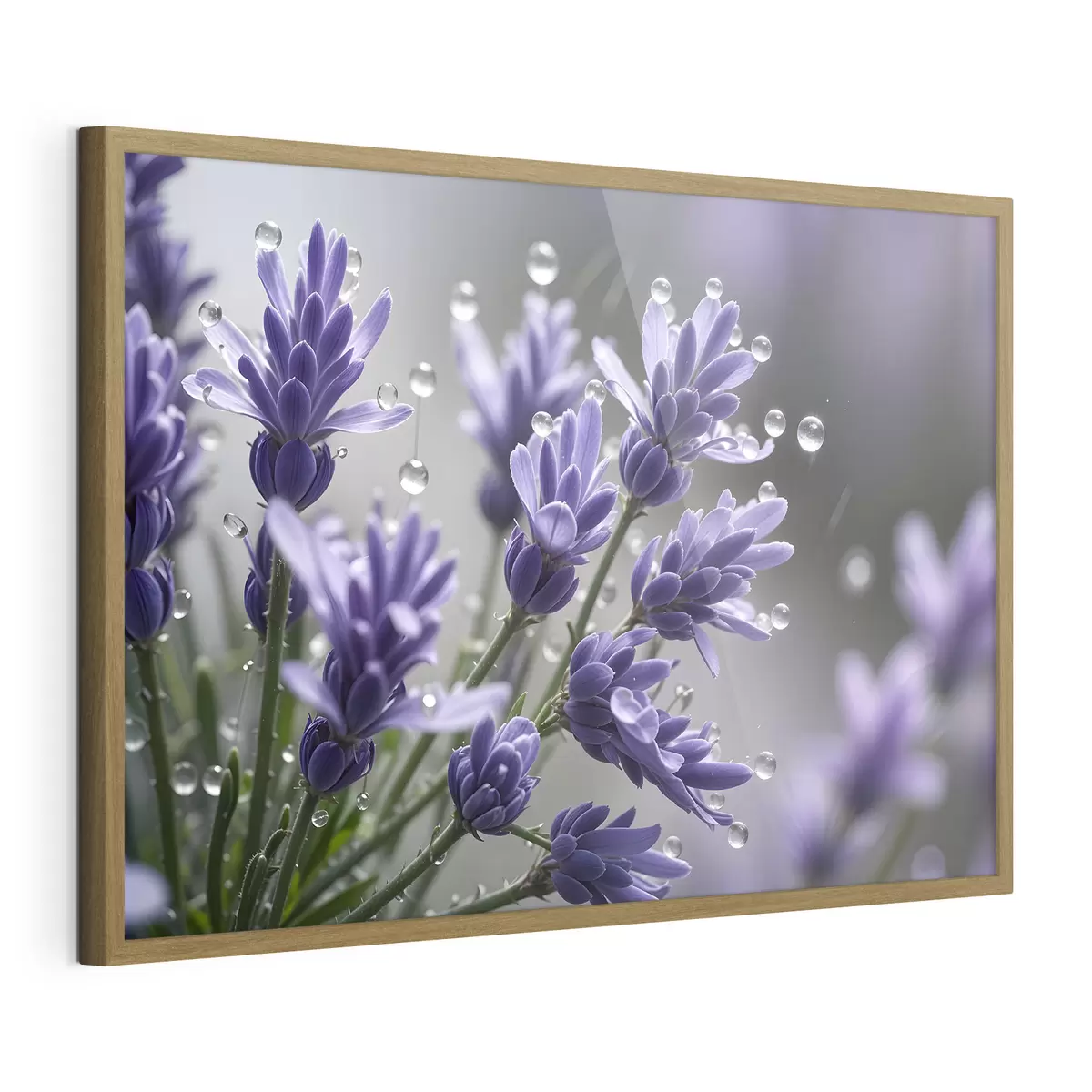 Poster Rocío de lavanda f42229