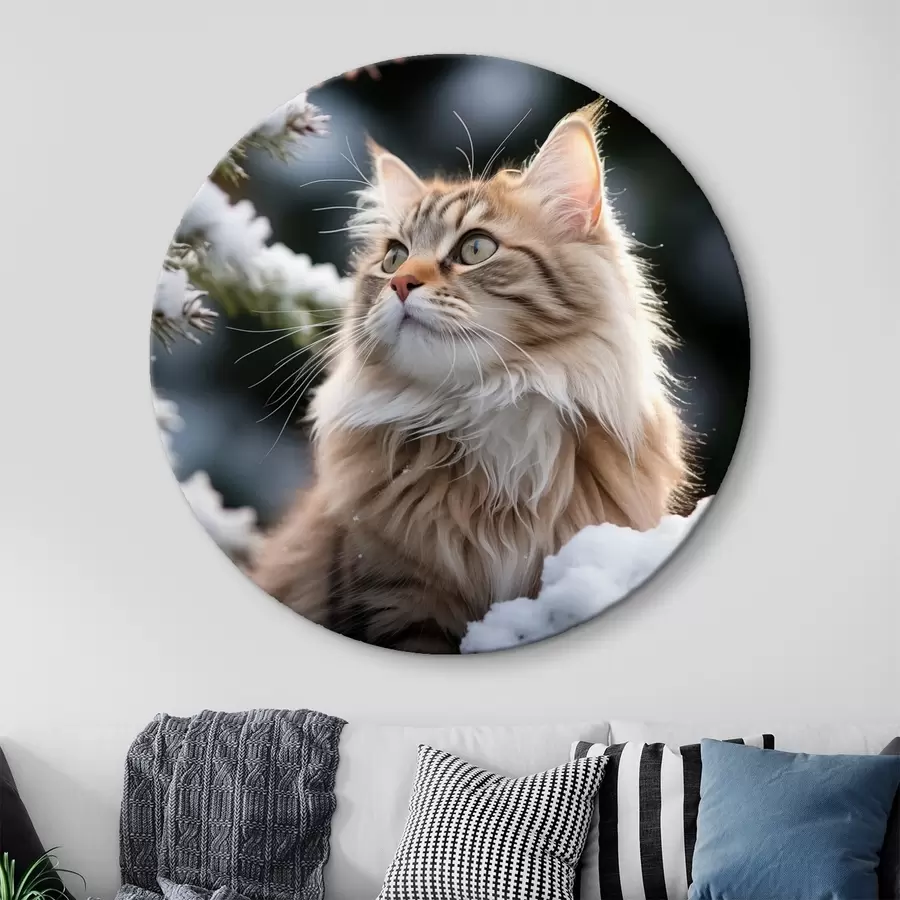 murales de pared Un esponjoso gato pelirrojo sentado cerca de la nieve sobre un fondo oscuro r41435