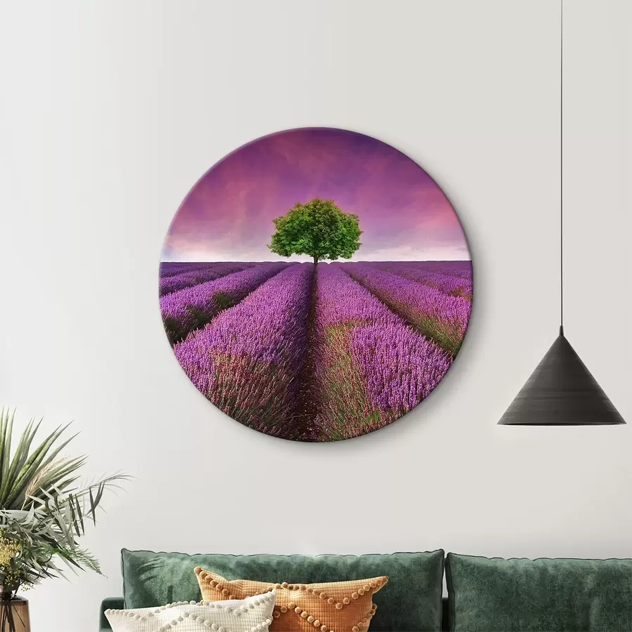 murales de pared Flor, cielo y planta r05061