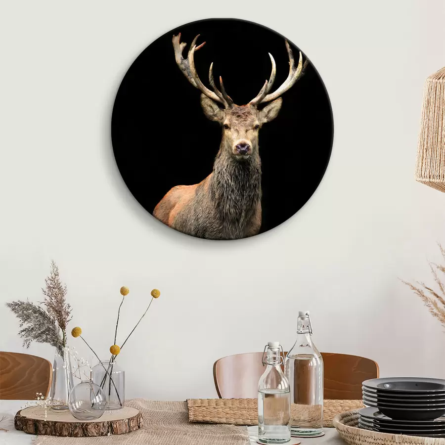 murales de pared Alce, organismo e ciervo r08154