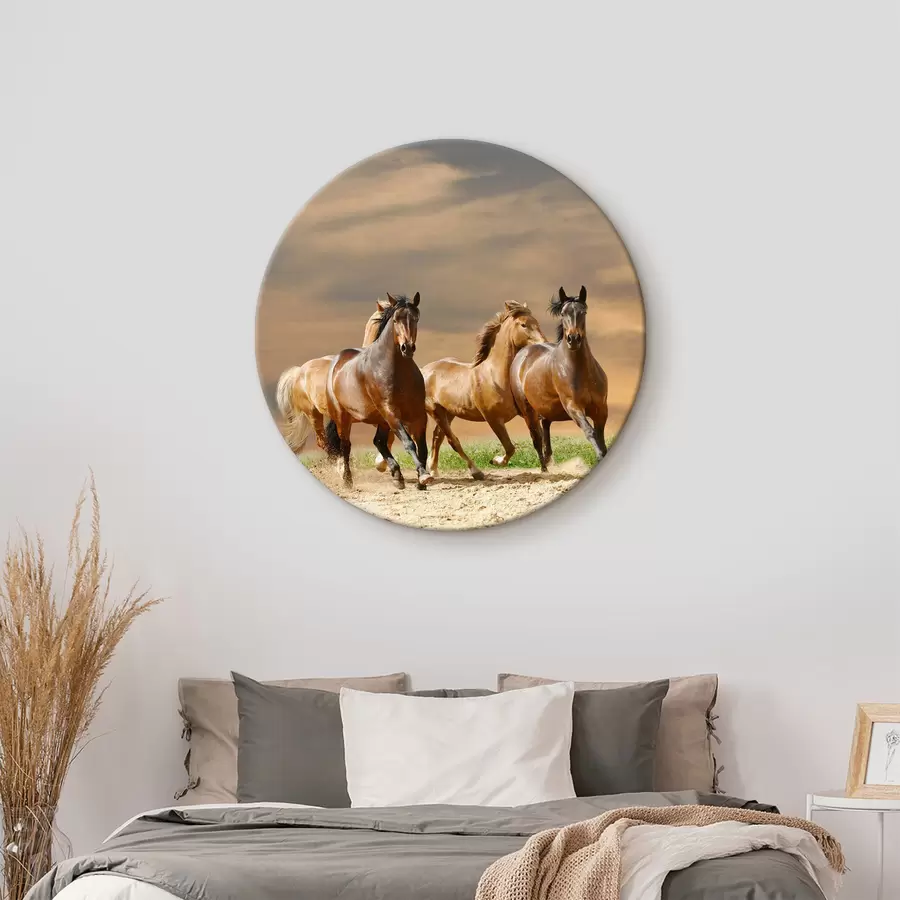 murales de pared Caballo, nube y cielo r12435