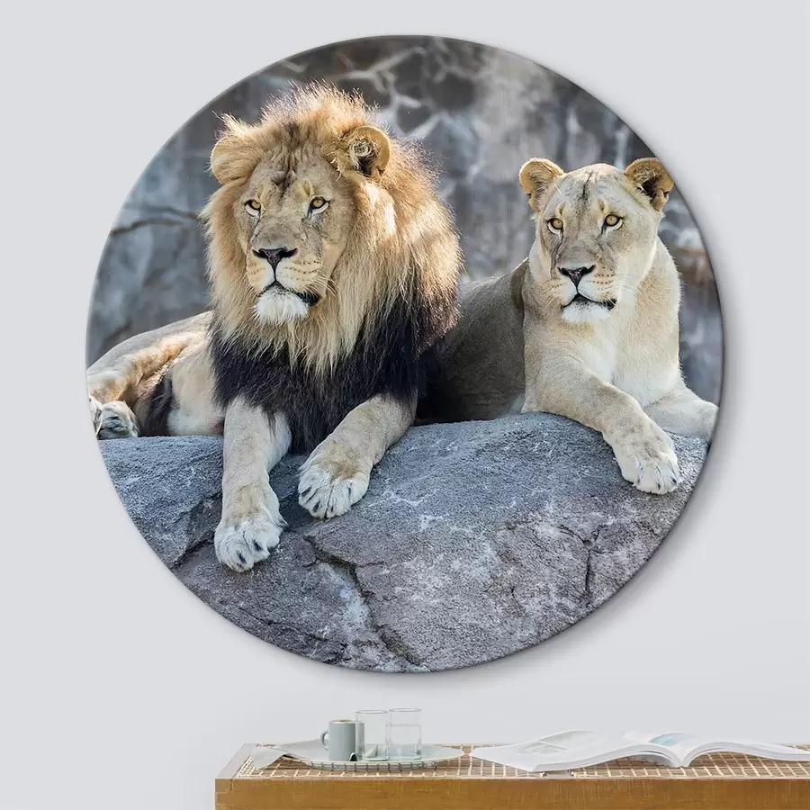 murales de pared Lew, kotowate i mięsożerne r15278