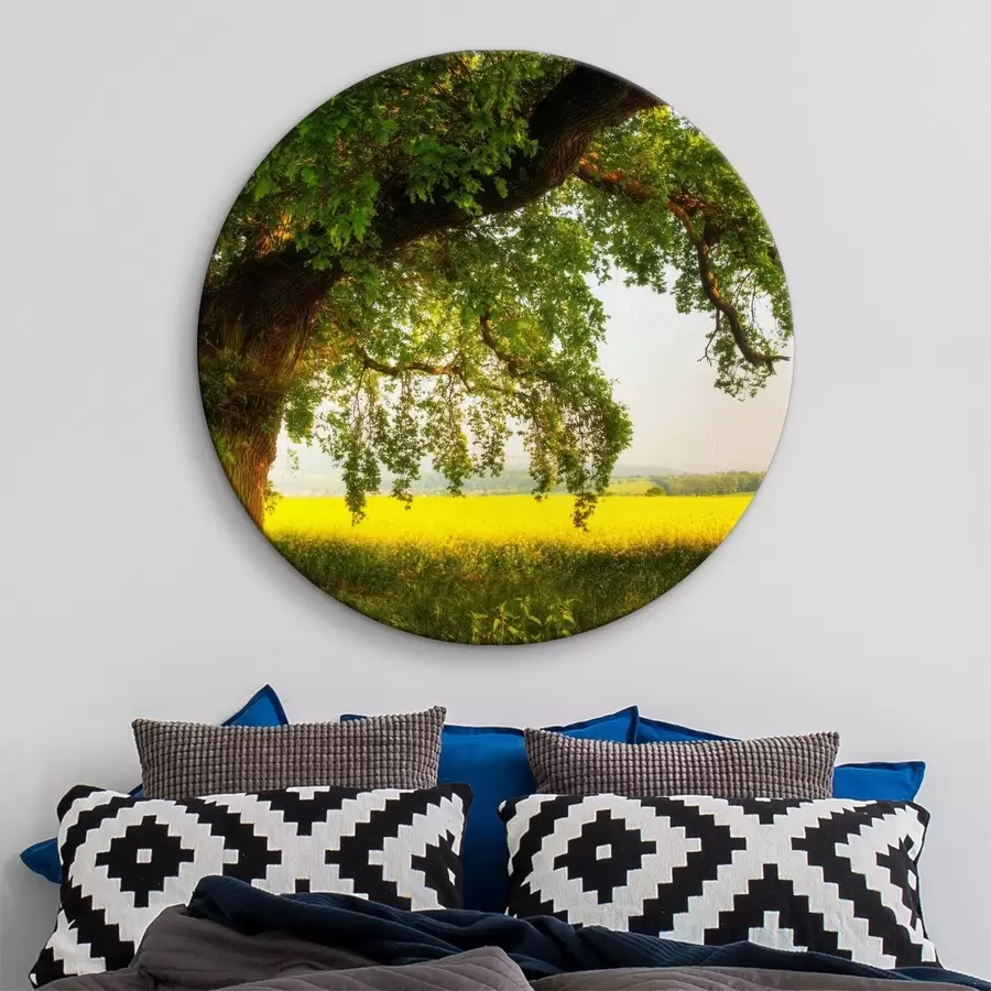 murales de pared Plantas, cielo y personas en la naturaleza r15283