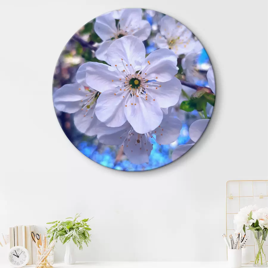 murales de pared flores blancas r33595