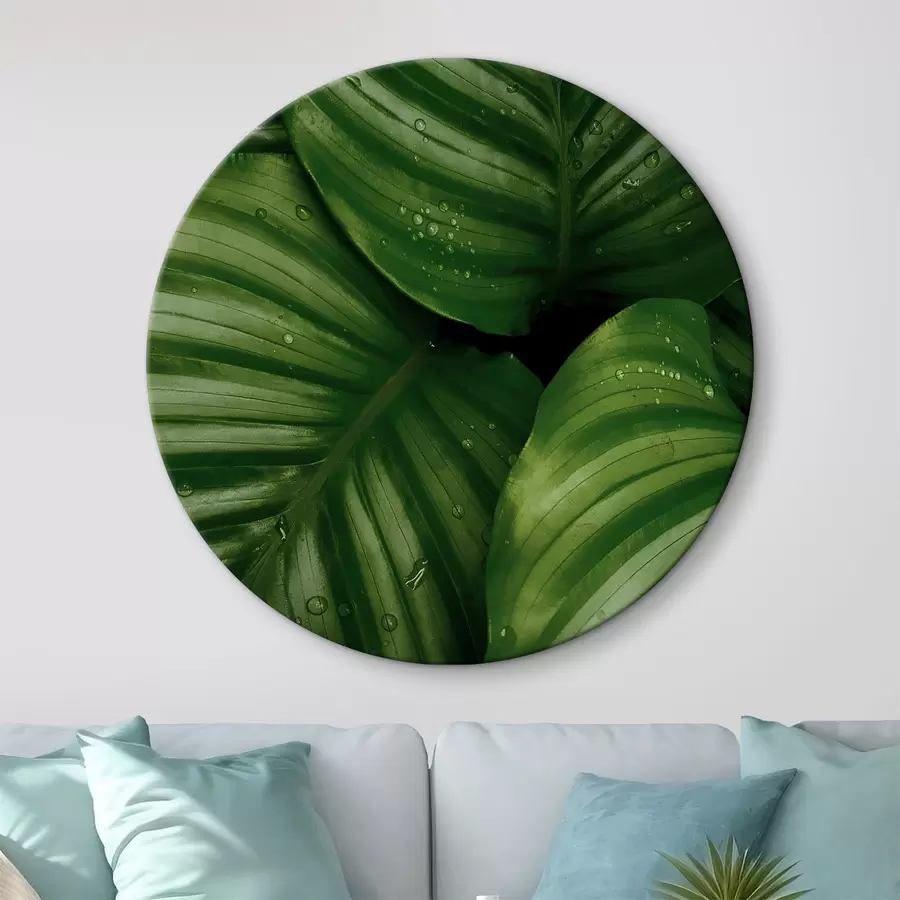 murales de pared Hojas tropicales verdes r34830