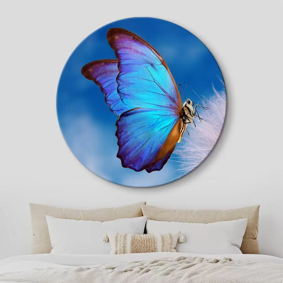 murales de pared Mariposa en un diente de león r34923