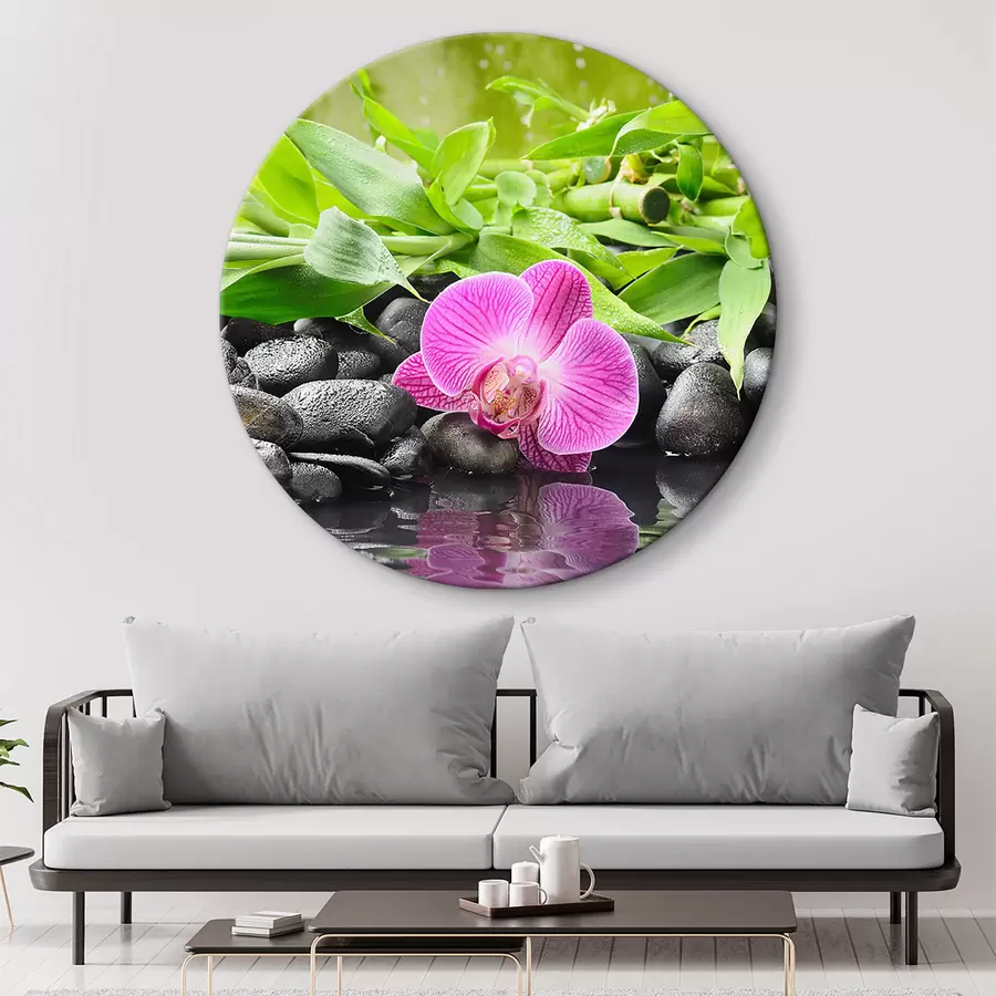 murales de pared Orquídea en el agua r34937