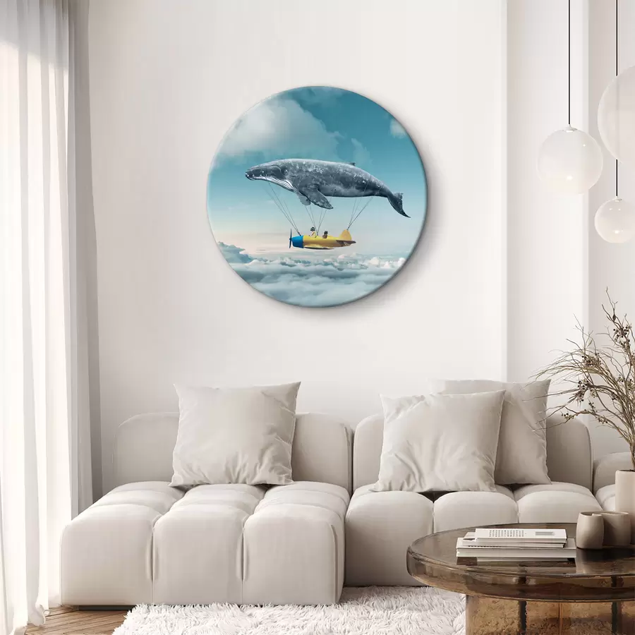 murales de pared Una ballena y una ballena unidas a una avioneta r36701