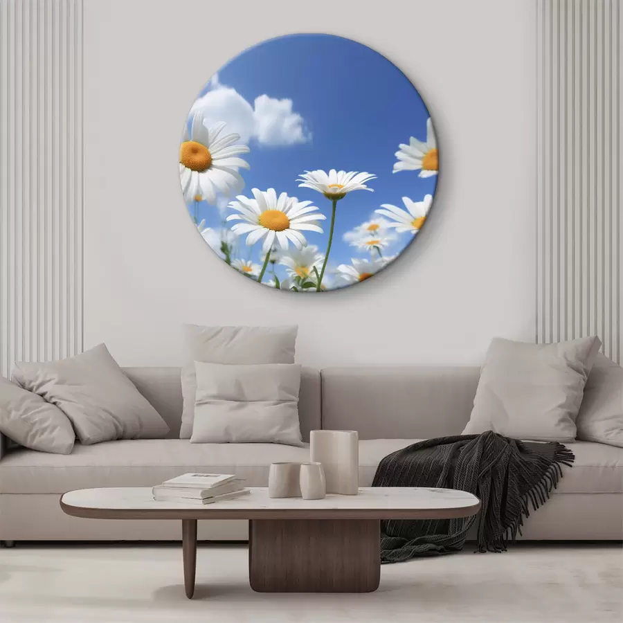murales de pared Margaritas contra el cielo azul r36802