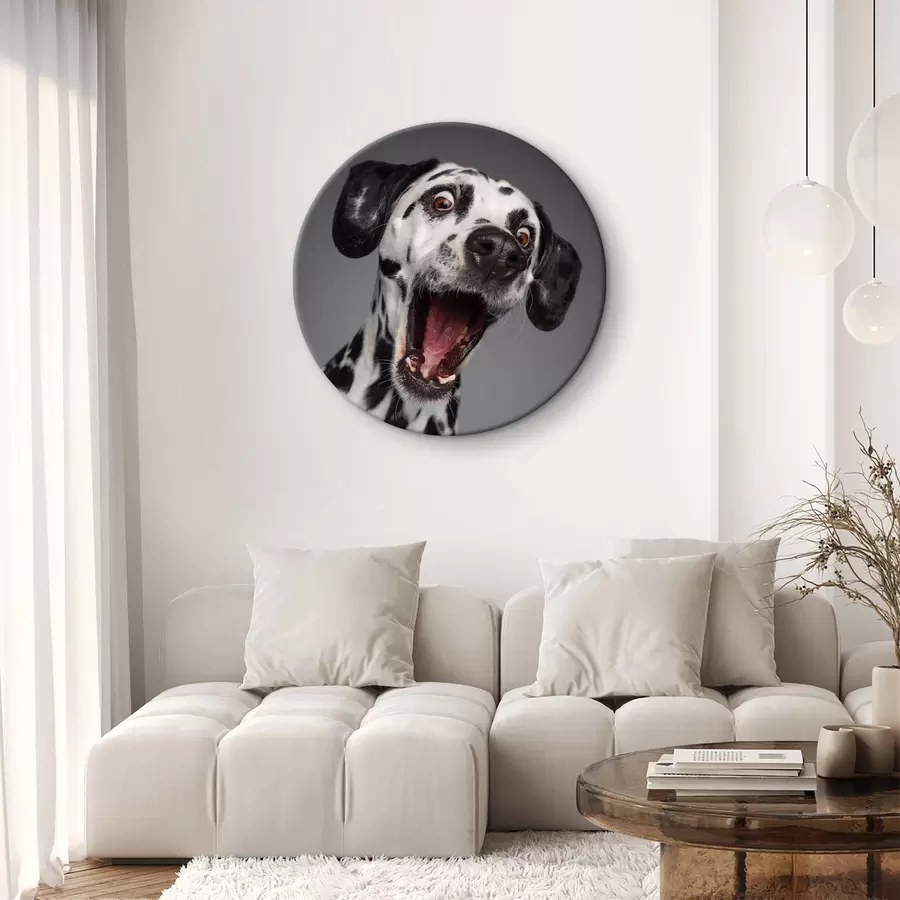 murales de pared Un cachorro emocionado listo para divertirse r37752