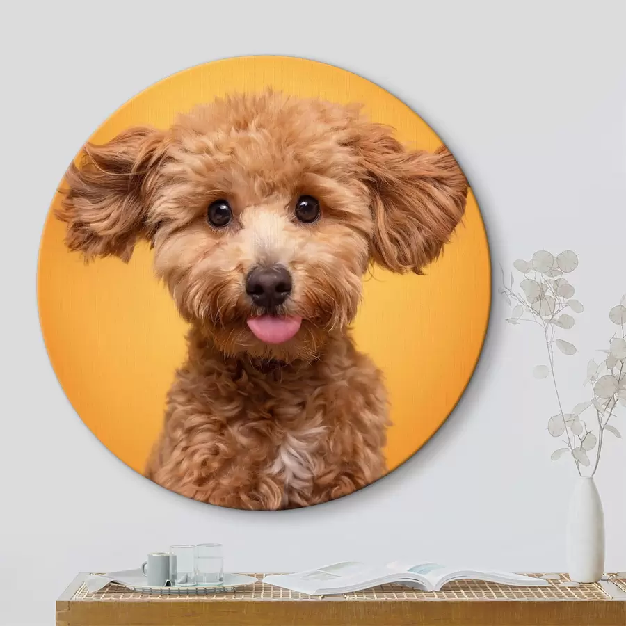 murales de pared Adorable cachorro r37753