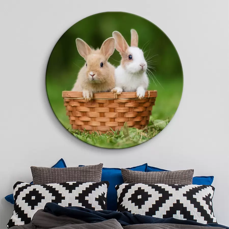 murales de pared Simpáticos conejos r37760