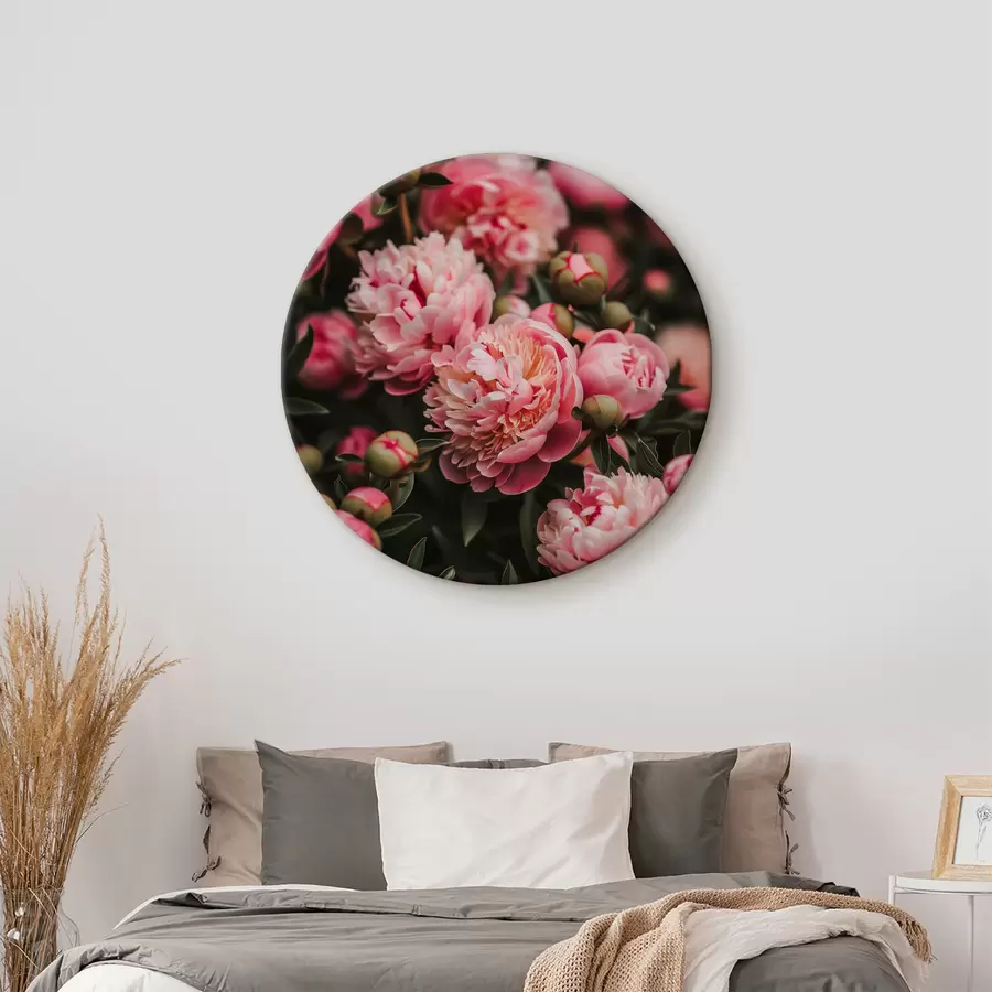 murales de pared peonías rosadas r40450