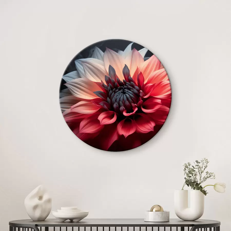 murales de pared Gran flor roja sobre fondo oscuro r40506