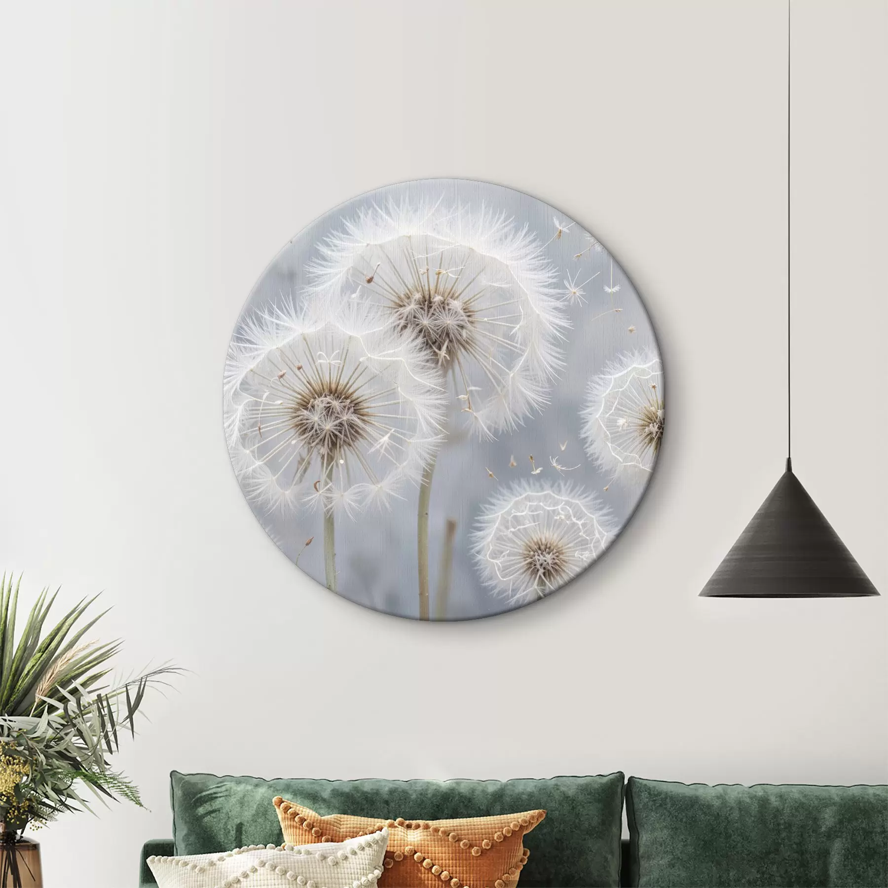 murales de pared Flores blancas de diente de león con semillas esponjosas sobre fondo gris borroso r40556