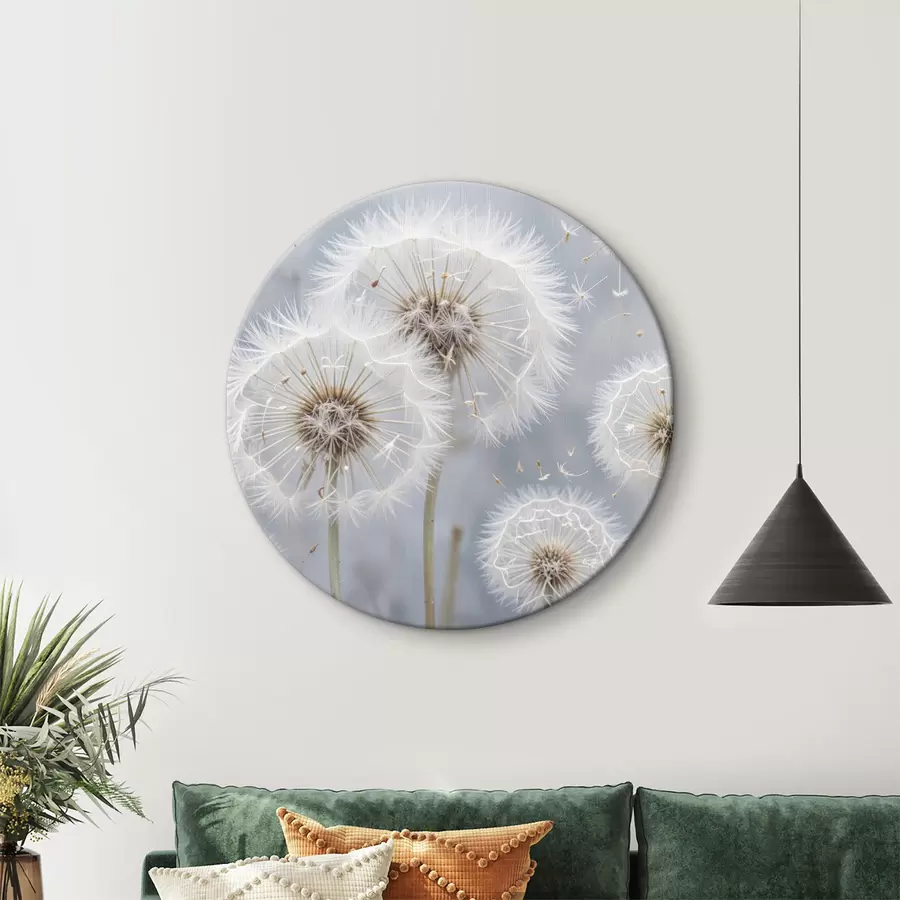 murales de pared Flores blancas de diente de león con semillas esponjosas sobre fondo gris borroso r40556