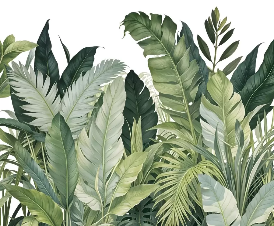 murales de pared Follaje tropical con varias hojas verdes grandes, incluidas hojas de plátano, hojas de palmera y otras especies de plantas exóticas w08609