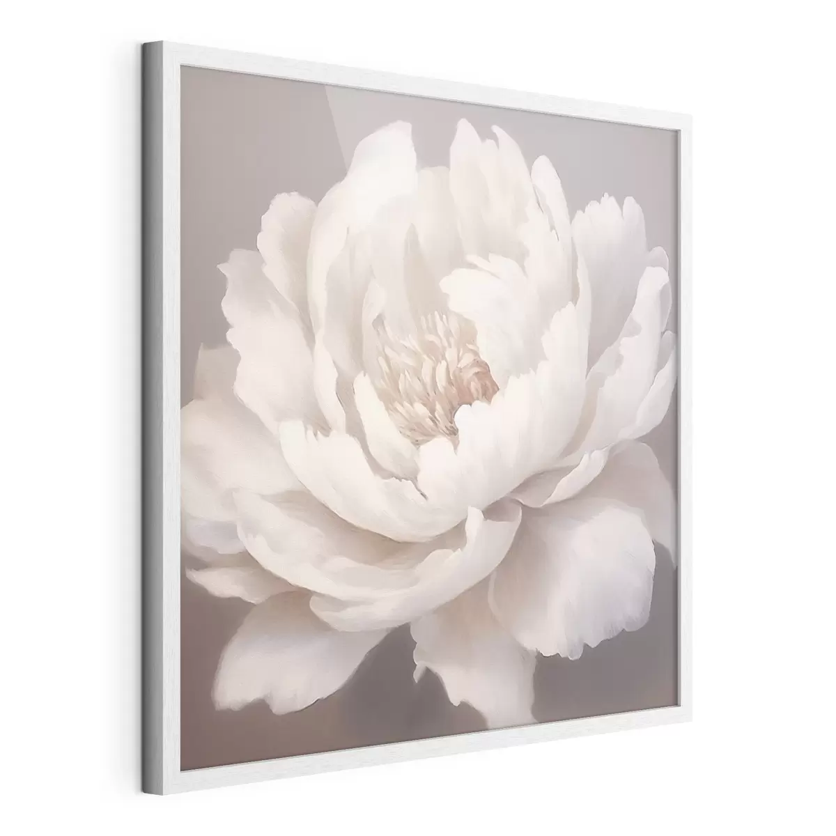 Poster Peonía blanca grande f42637