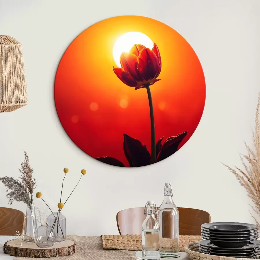 murales de pared Tulipán sobre fondo runrún r42922