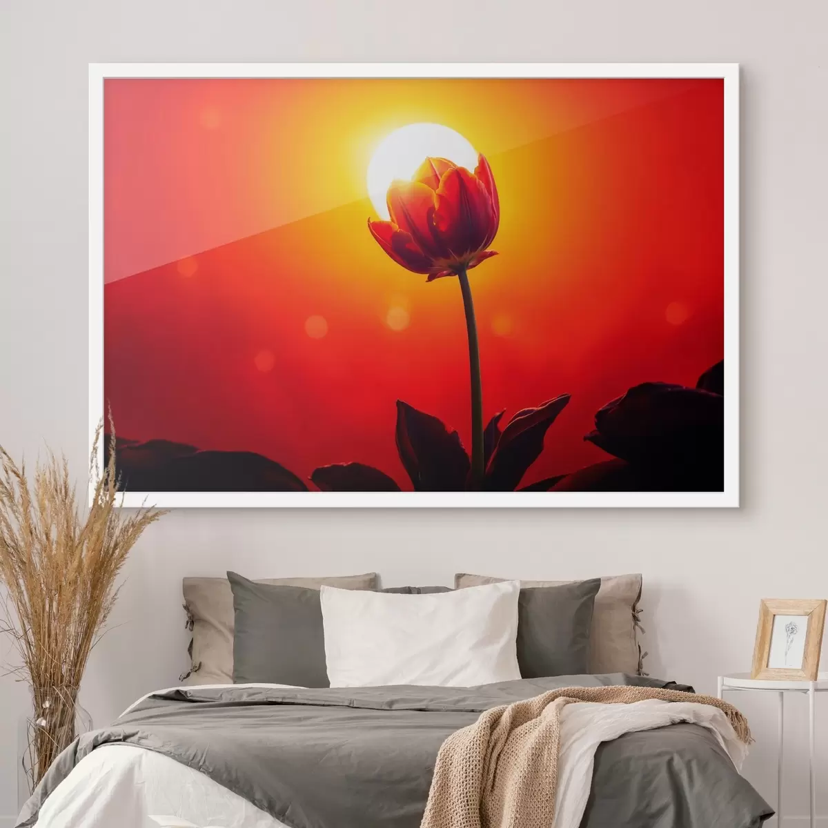 Poster Tulipán en funfet backgfound f42922