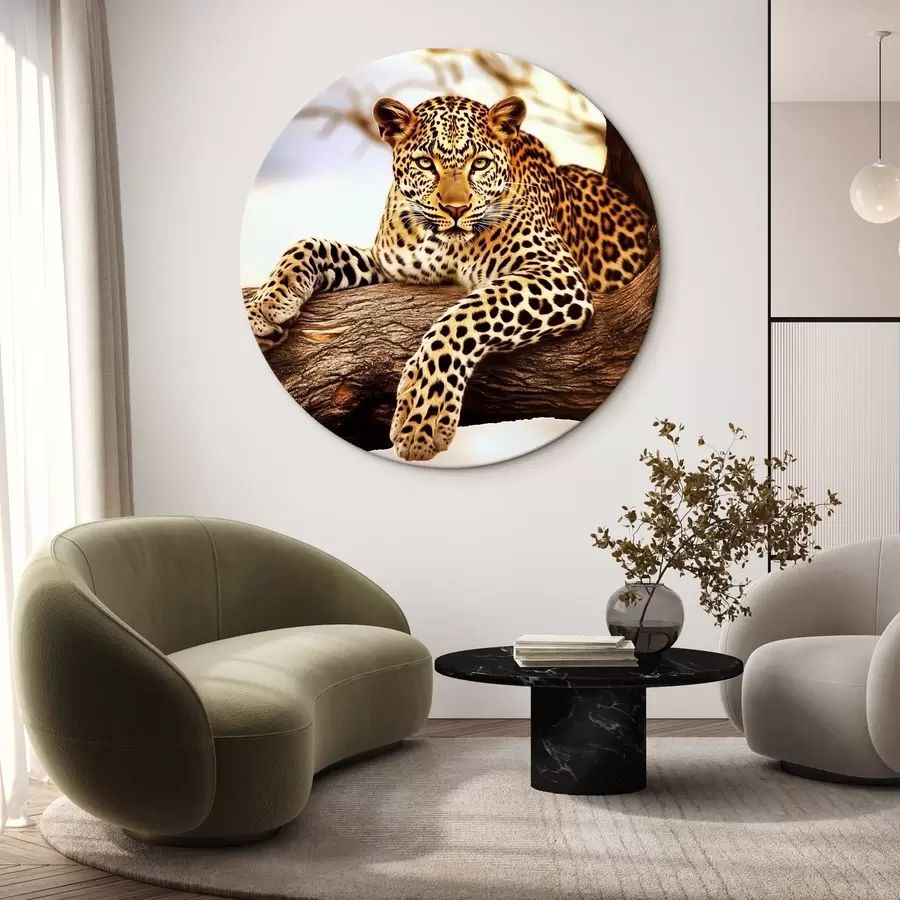 murales de pared Leopardo en un árbol r42984
