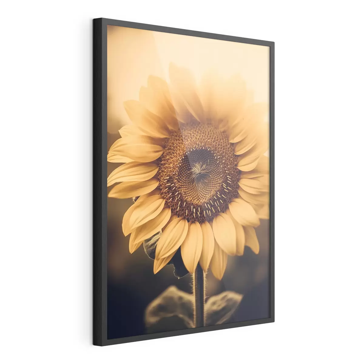 Poster Girasol f43012