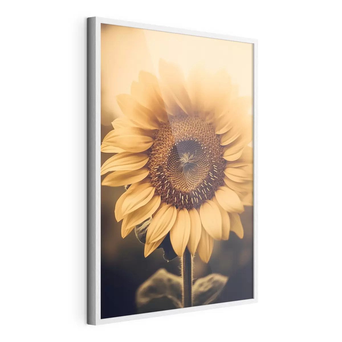 Poster Girasol f43012