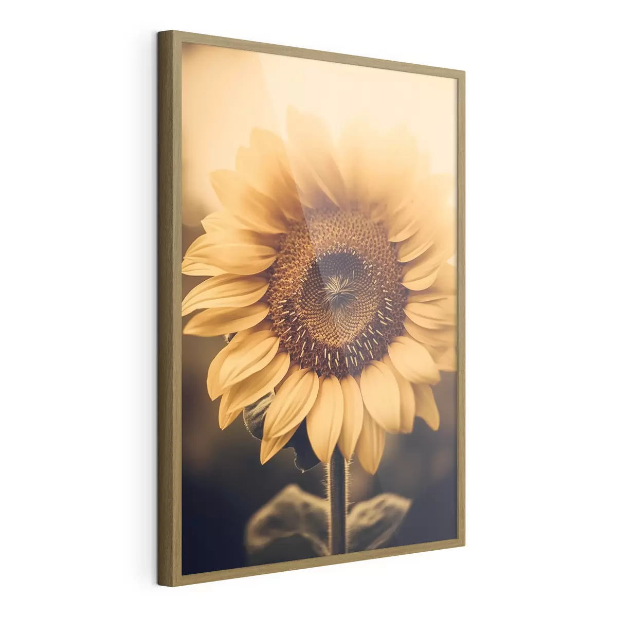Poster Girasol f43012