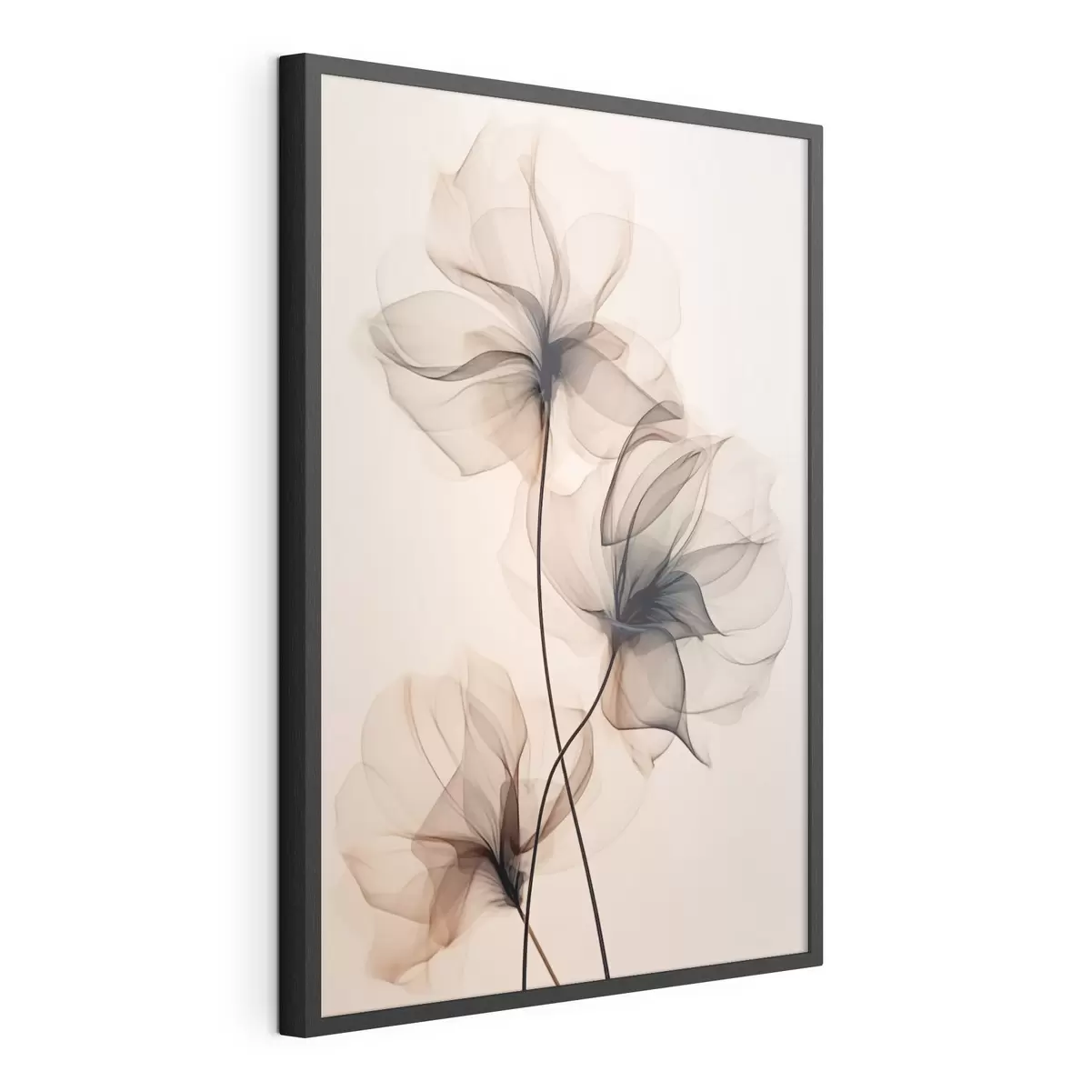 Poster Trío de flores transparentes f43015
