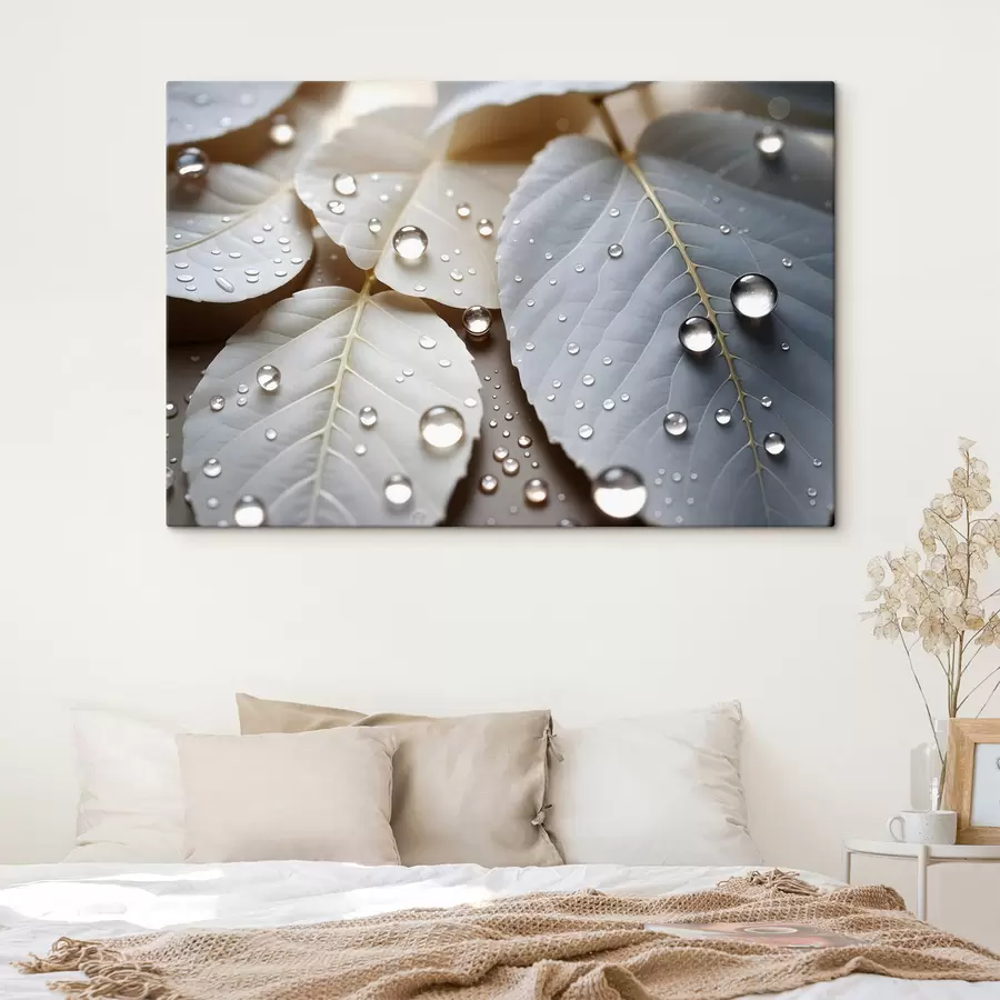 murales de pared Primer plano de hojas blancas cubiertas de gotas de agua, una composición minimalista, fondo neutro s43159