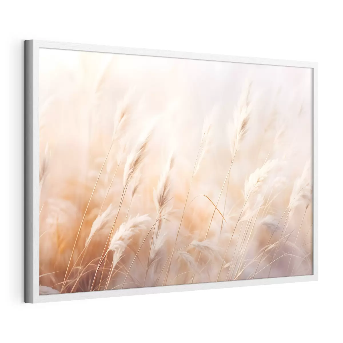 Poster Hierba de la Pampa con una luz suave y difusa, creando un ambiente cálido, el fondo es una mezcla de colores pastel f43157