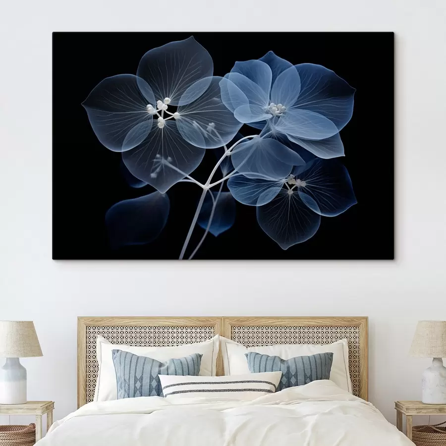 murales de pared Una flor de hortensia azul translúcida con estambres azules y un delicado tallo, sobre fondo negro s43395