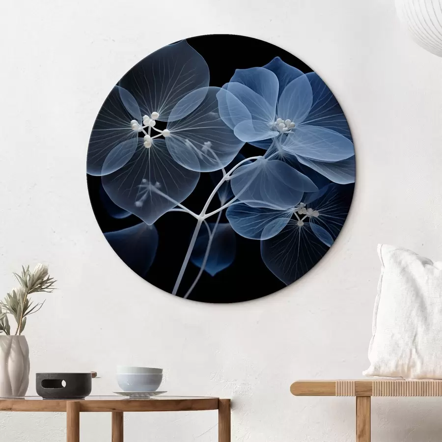 murales de pared Una flor de hortensia azul translúcida con estambres azules y un delicado tallo, sobre fondo negro r43395