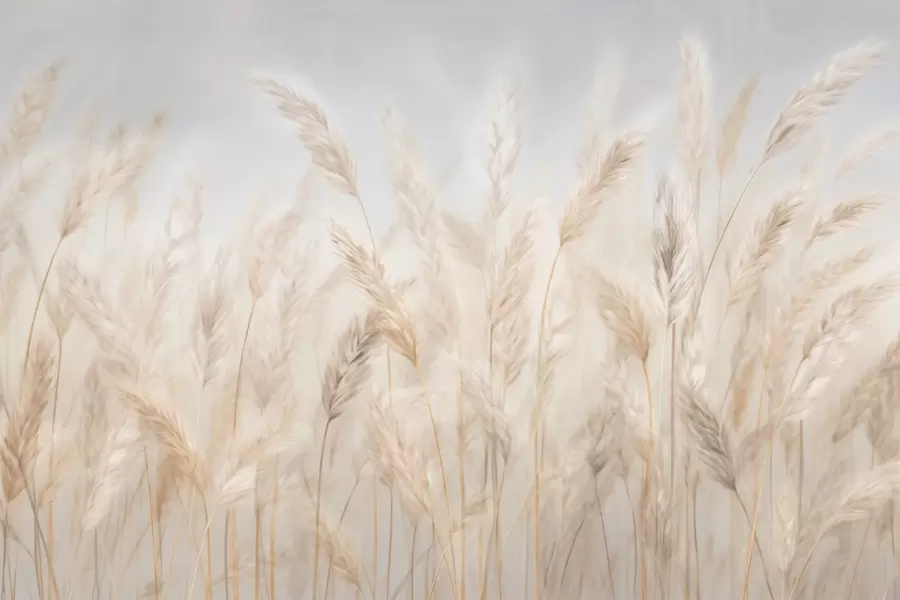 murales de pared Espiguillas contra el cielo azul w03530