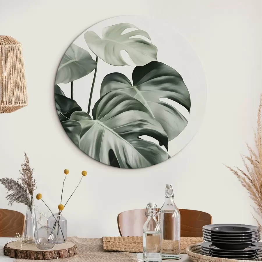 murales de pared Hojas de palmera tropical, floral, realismo, monstera r43508