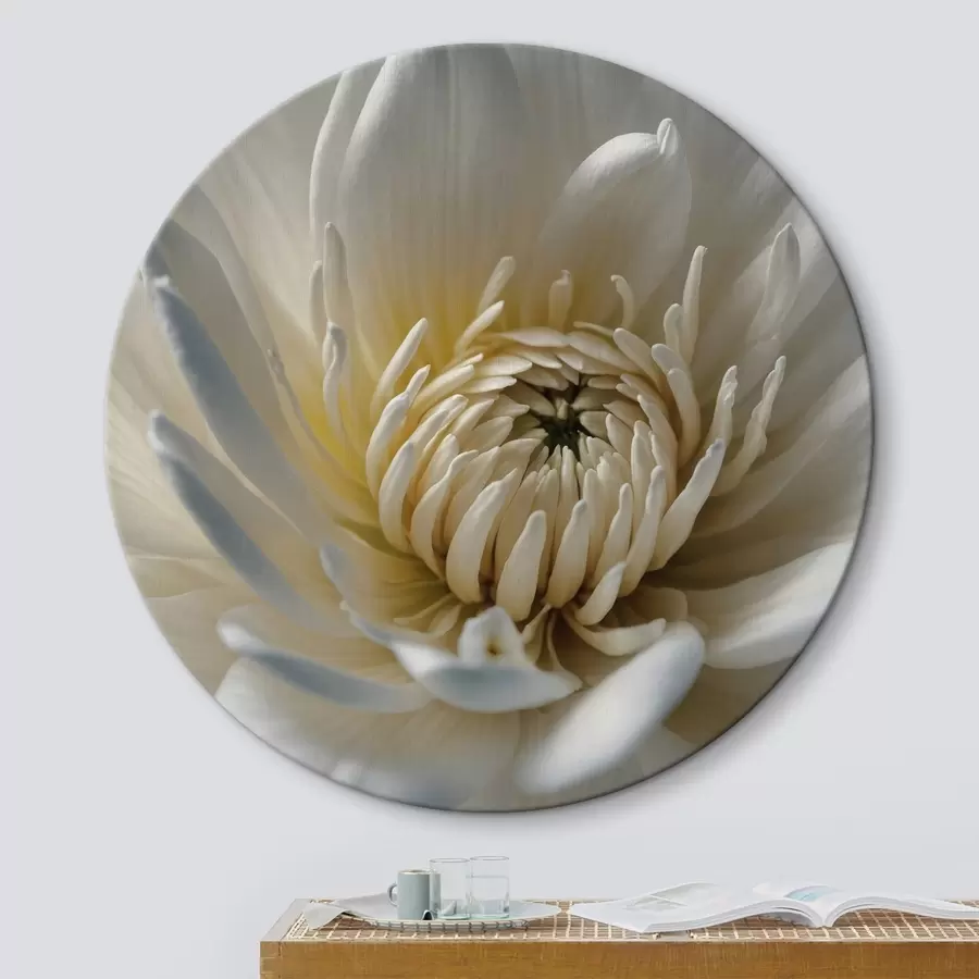 murales de pared Núcleo de la flor r43879