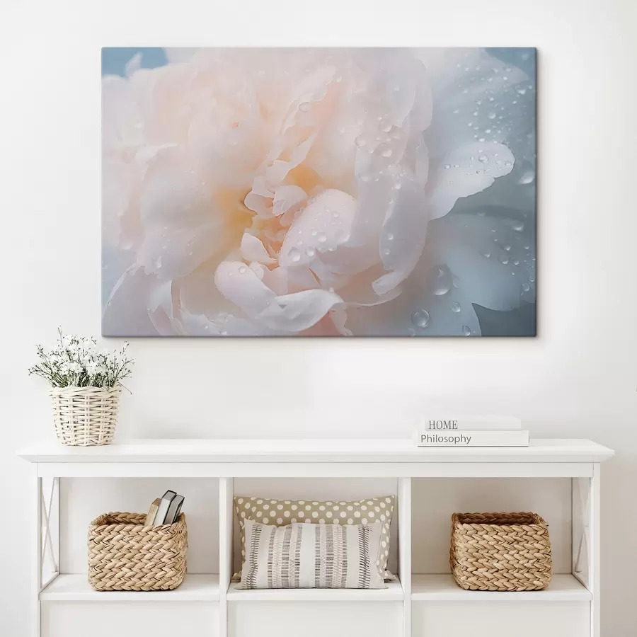 murales de pared Flor blanca con rocío s43953