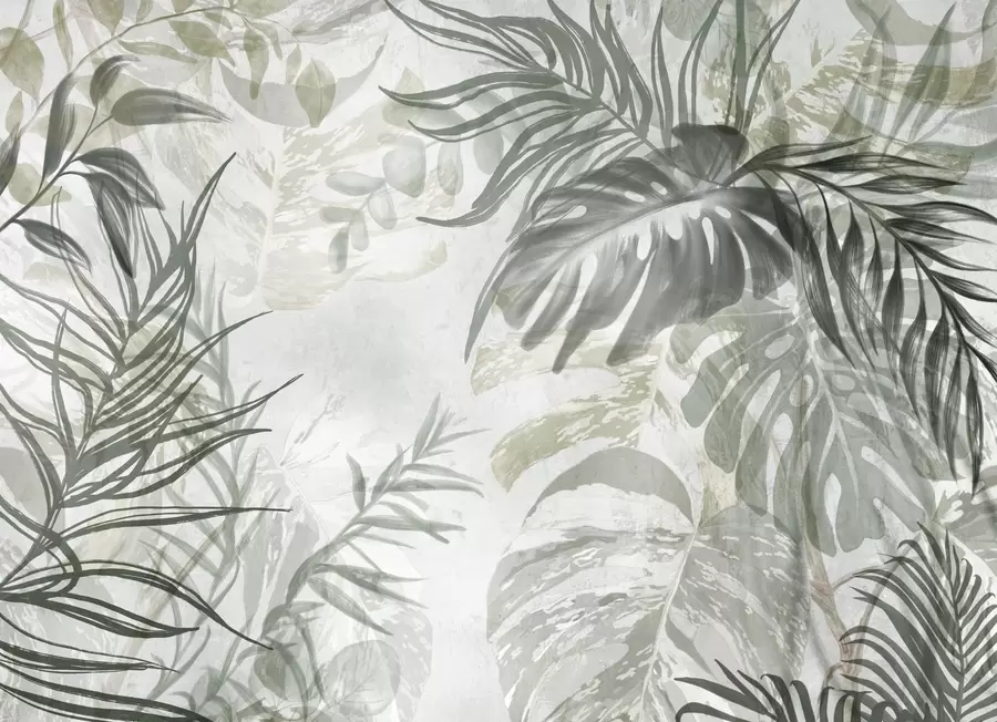 murales de pared Monstera y hojas de palma en tonos de verde y gris, botánico, follaje tropical, plantas de la selva, fondo texturizado w09011
