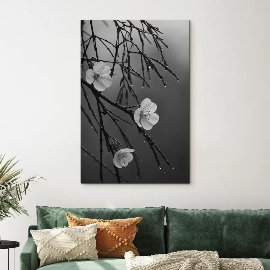 murales de pared Flores en las ramas después de la lluvia s44098