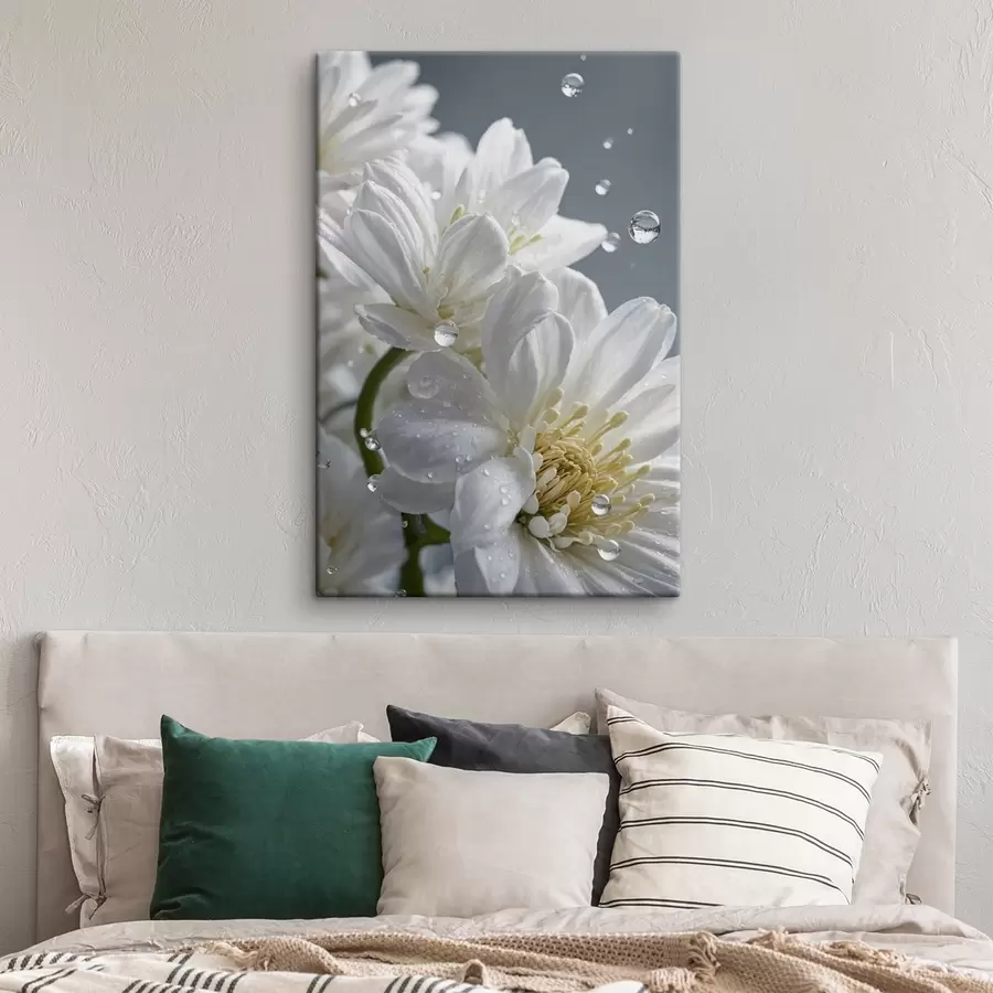 murales de pared Flores blancas con rocío s44100