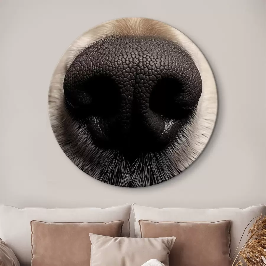 murales de pared Nariz de perro r44273