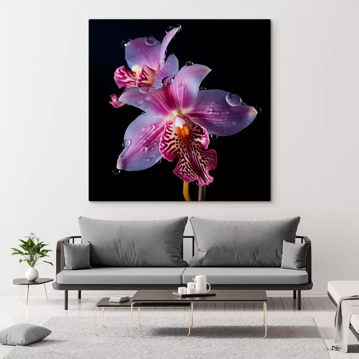 murales de pared Gotas de agua en pétalos de orquídea s44356