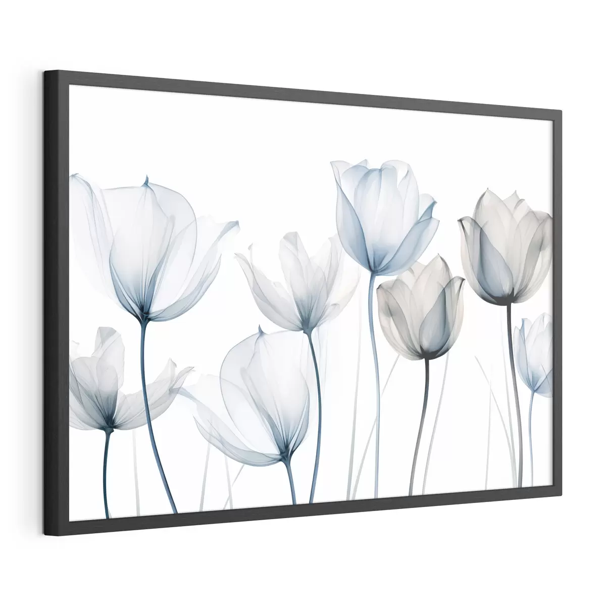 Poster Tulipanes azules y blancos translúcidos con tallos largos, sobre fondo blanco liso f44409