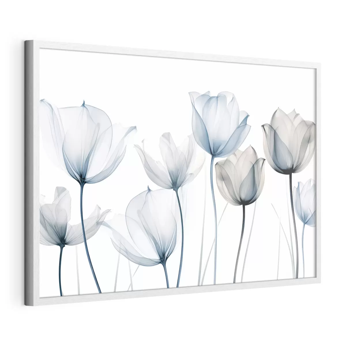 Poster Tulipanes azules y blancos translúcidos con tallos largos, sobre fondo blanco liso f44409