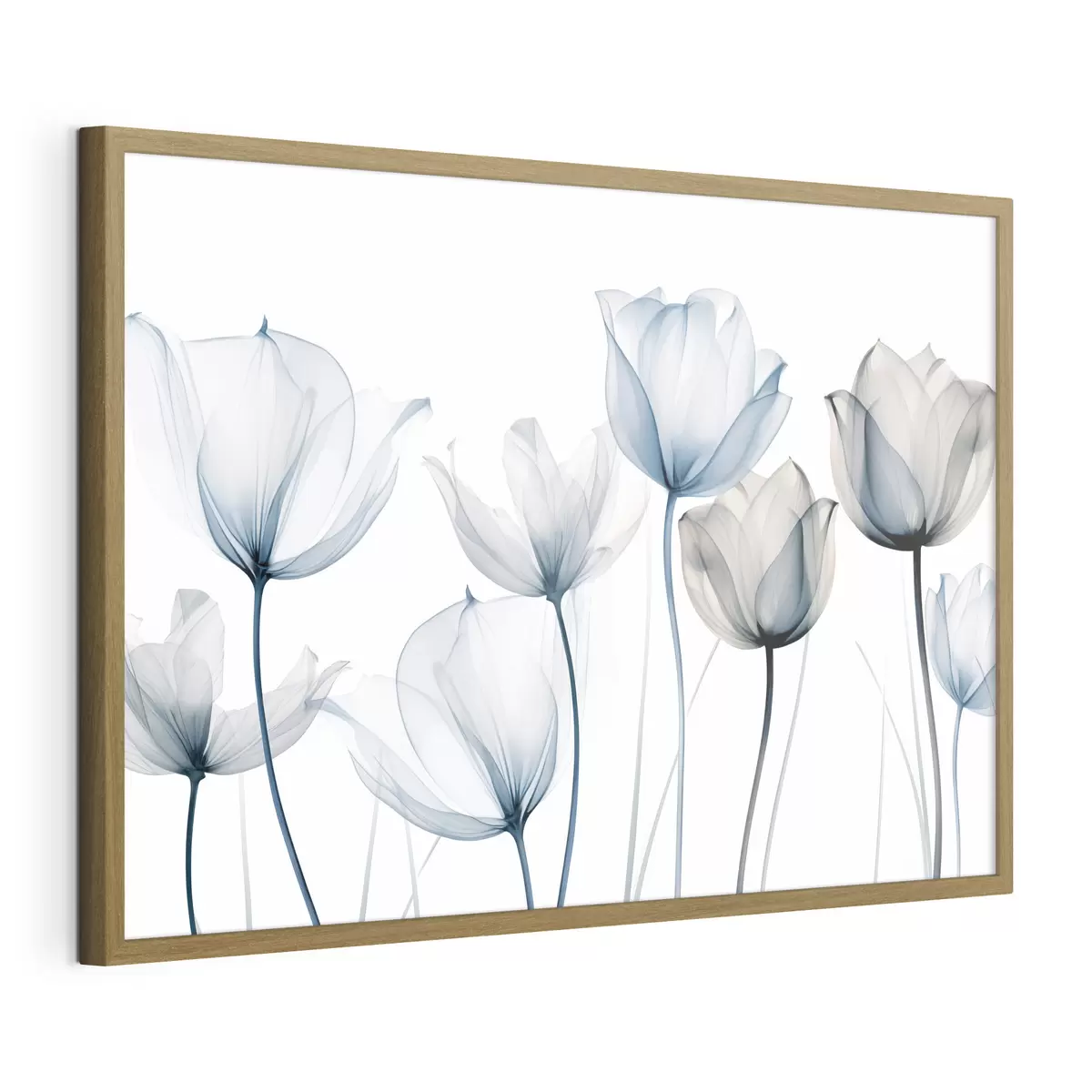 Poster Tulipanes azules y blancos translúcidos con tallos largos, sobre fondo blanco liso f44409